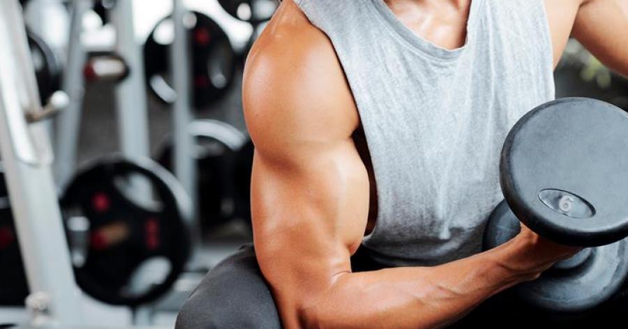 Treino Rápido Para Desenvolver Bíceps Com Halteres 