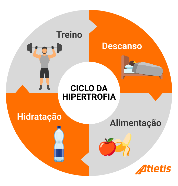 Ilustração do ciclo de hipertrofia, que inclui treino, descanso, alimentação e hidratação, imagem com logo da atletis