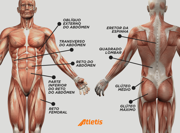 Ilustração de um corpo masculino com indicação dos principais músculos do core.