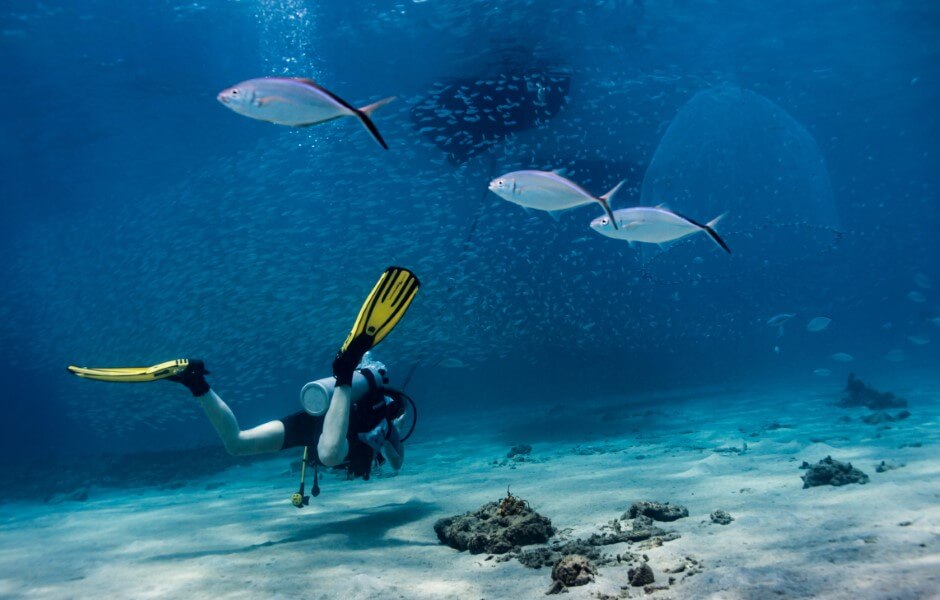 Imagem de um mergulhador submerso, usando nadadeiras e um cilindro de oxigênio nas costas, rodeado por peixes e rochas no fundo do mar.