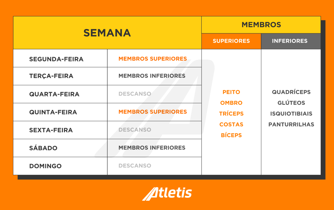 Ficha tabela treino hipertrofia musculação